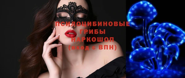 МДПВ Аркадак