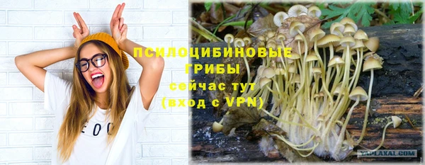 МДПВ Аркадак